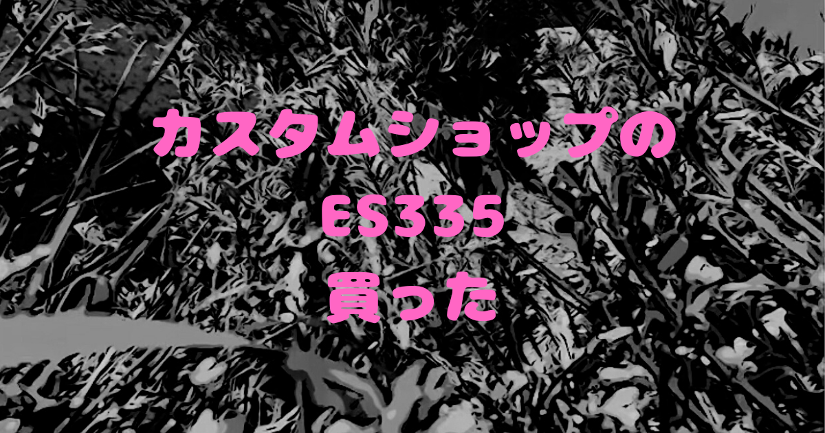 カスタムショップのES３３５買った - 桃しそblog 〜果樹農家の音楽ブログ〜